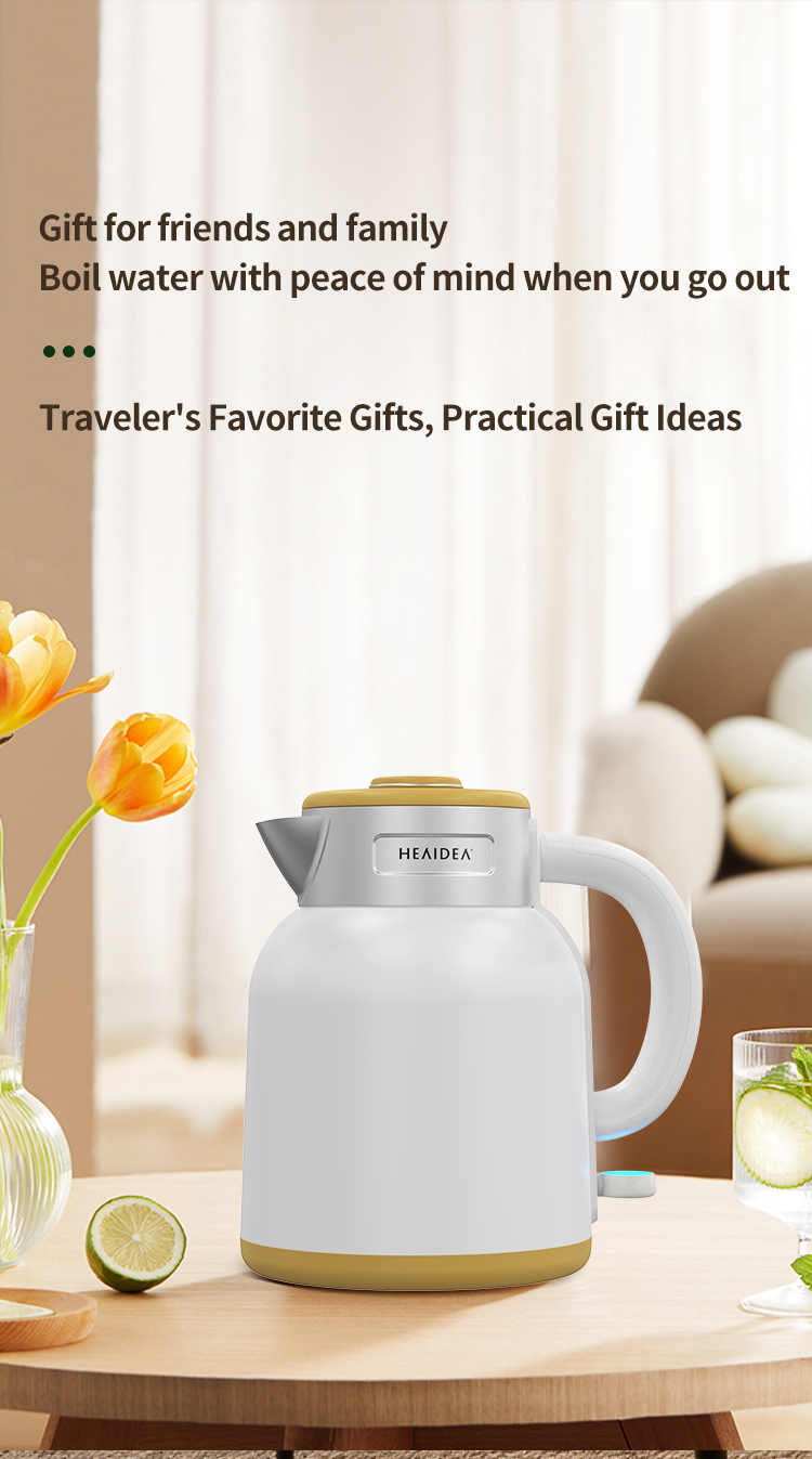 Electric Kettle 03