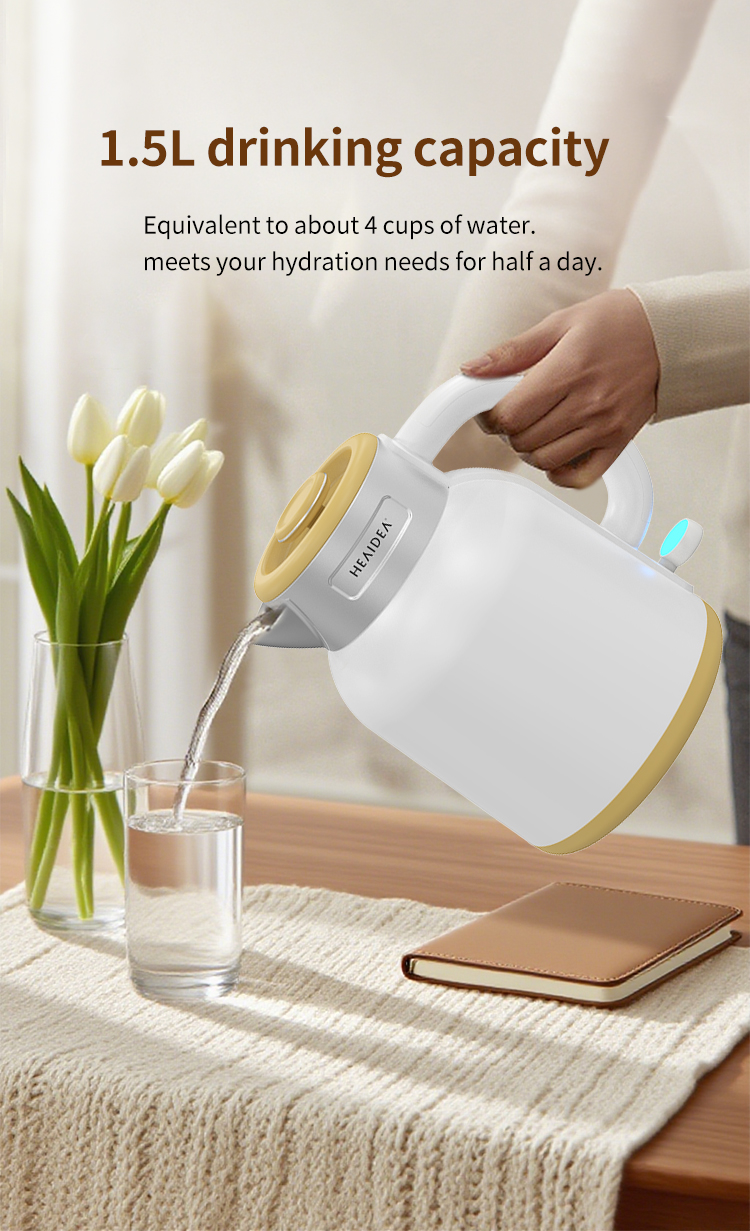 Electric Kettle 07