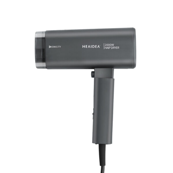 Hair Dryer 1