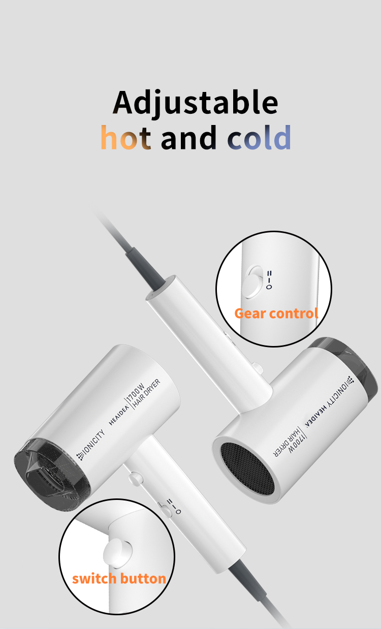 Hair Dryer H 787 06