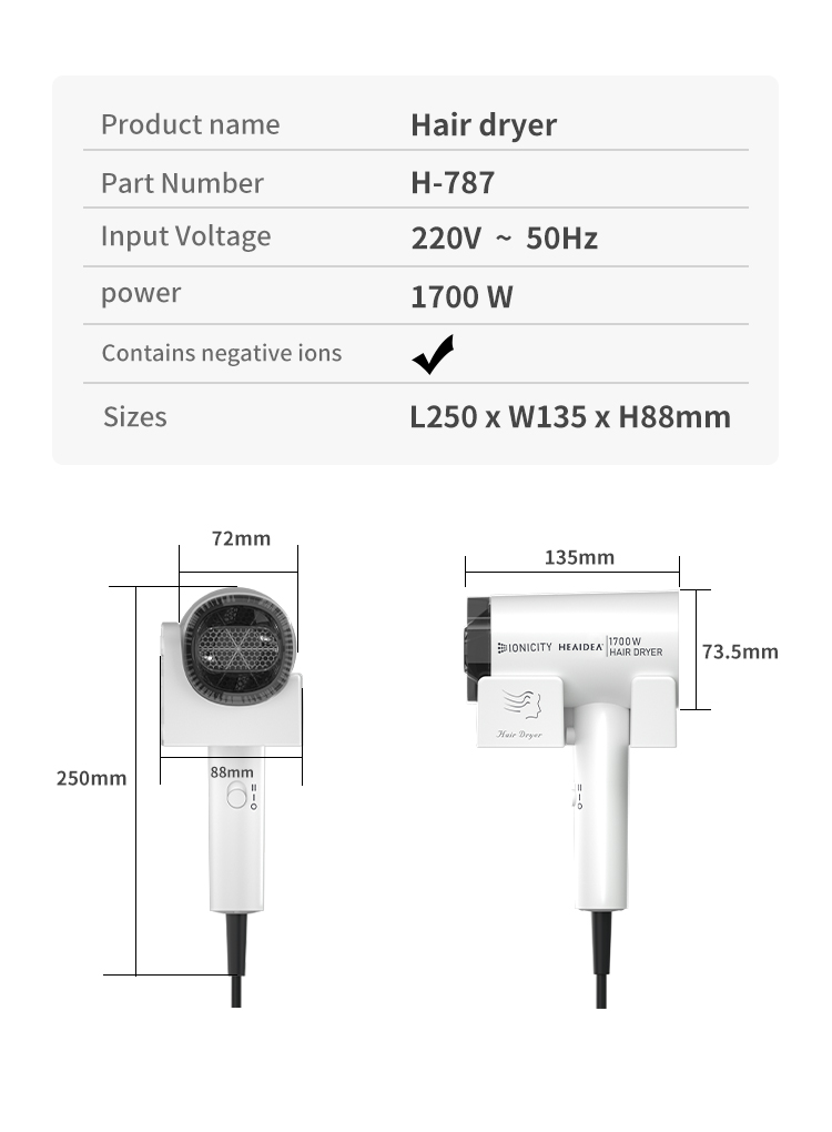Hair Dryer H 787 10