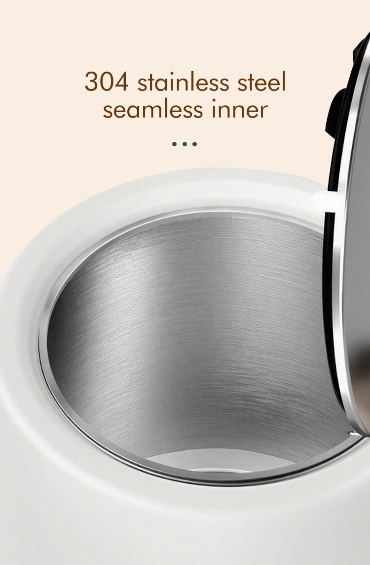 Electric Kettle 05