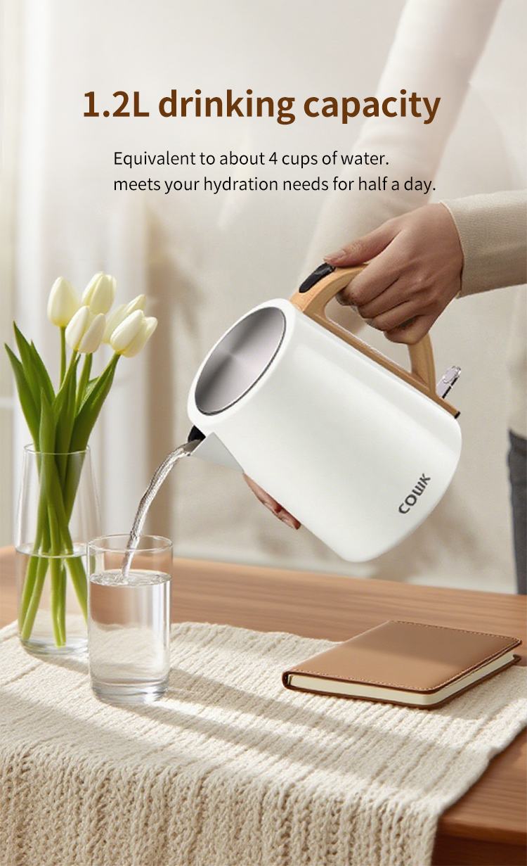Electric Kettle 07